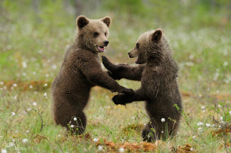 ���������