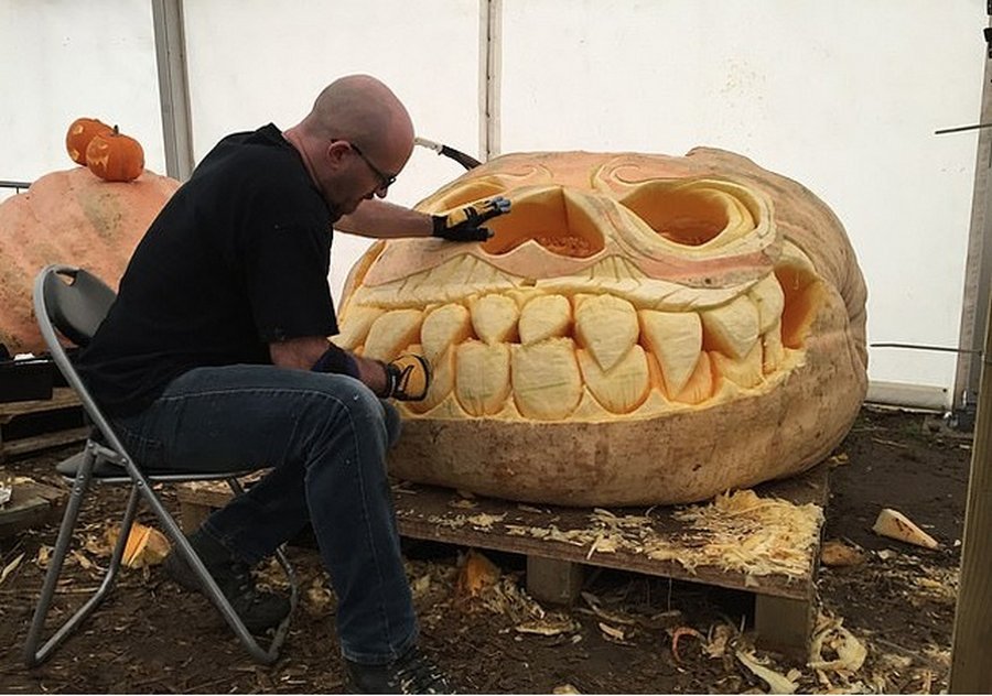 ���������