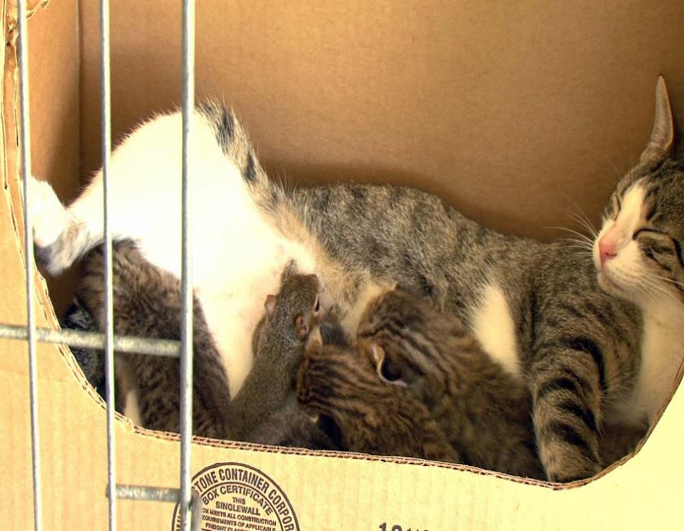 ���������