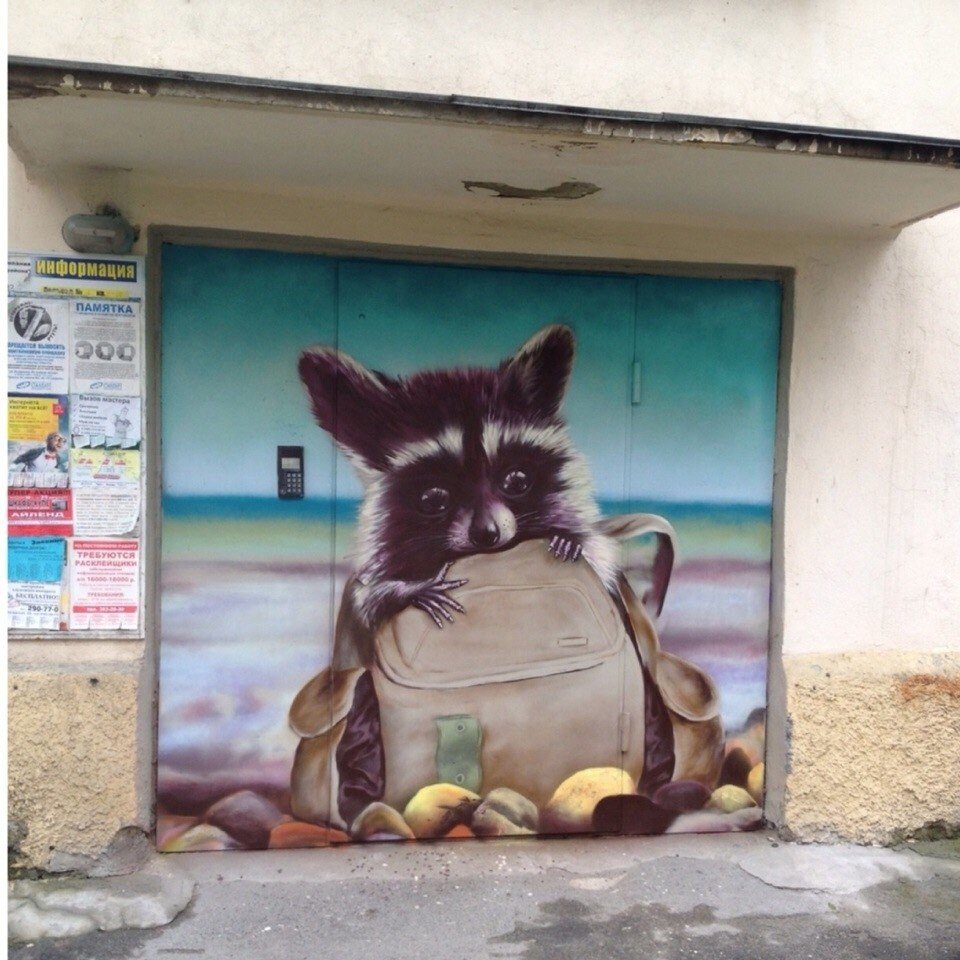 ���������