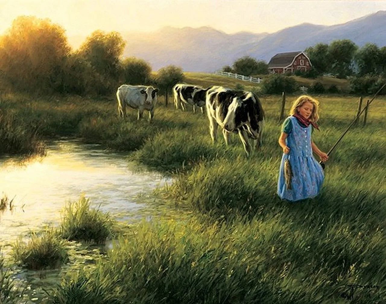 ���������