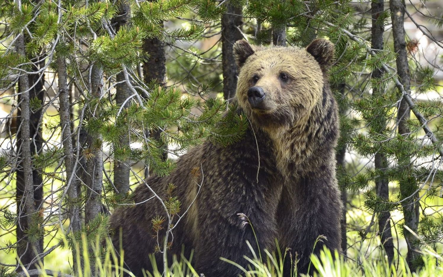 ���������