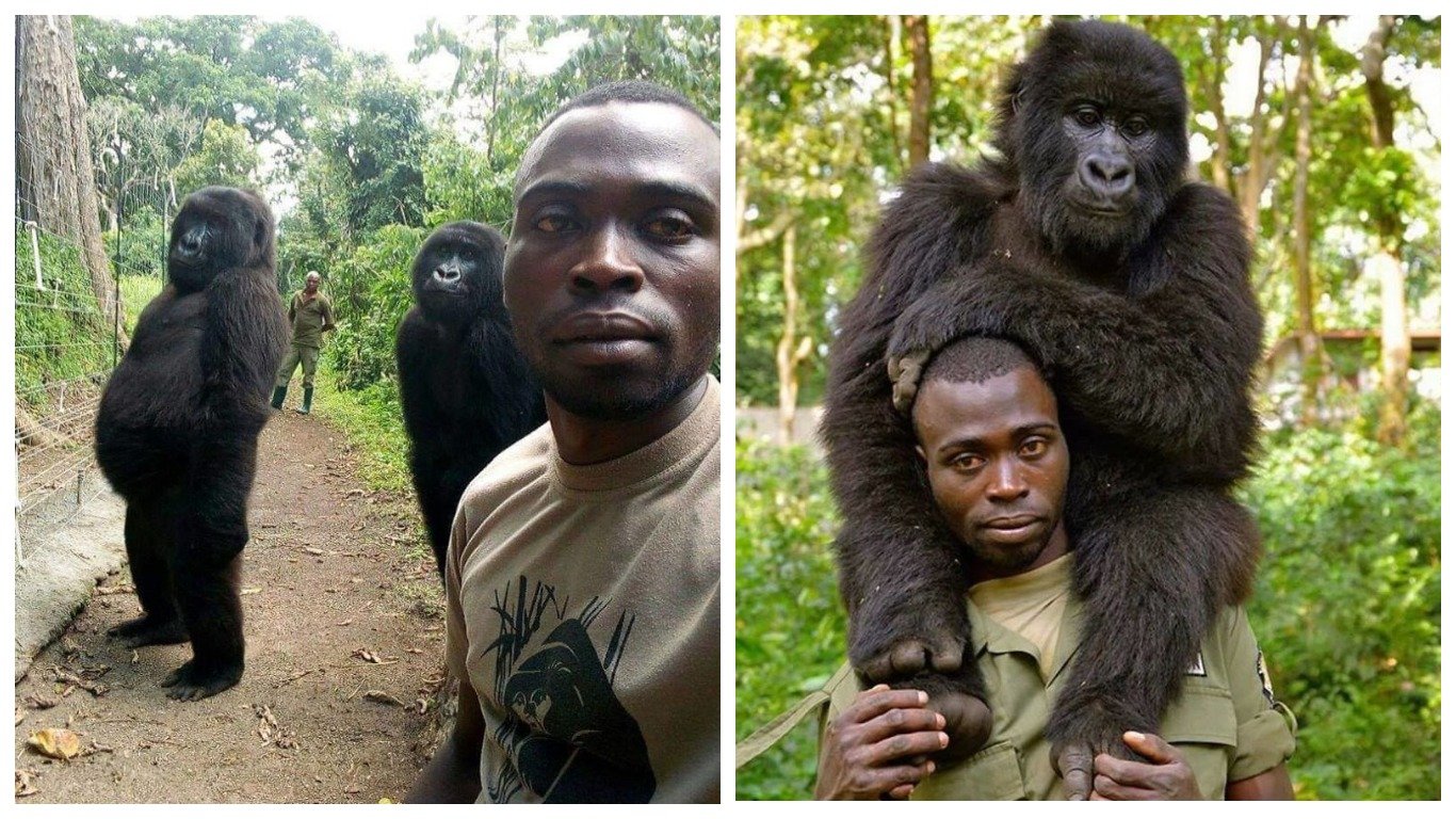 ���������