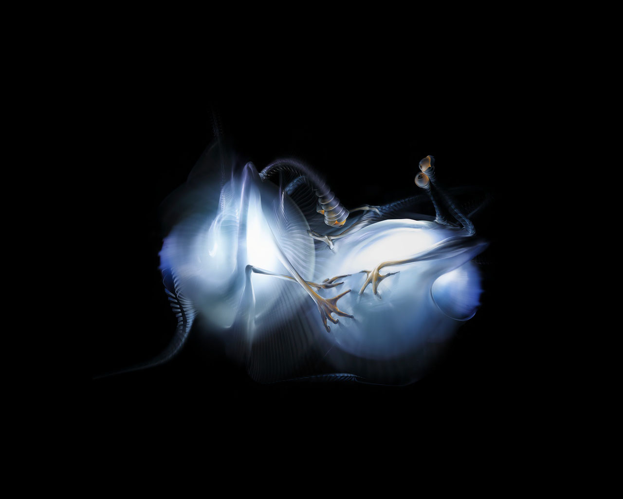 ���������