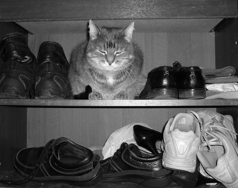 ���������