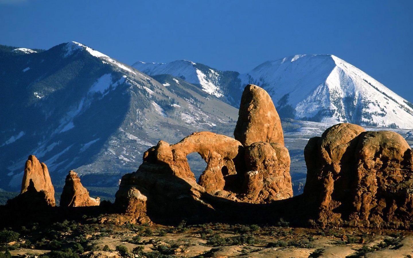 ���������