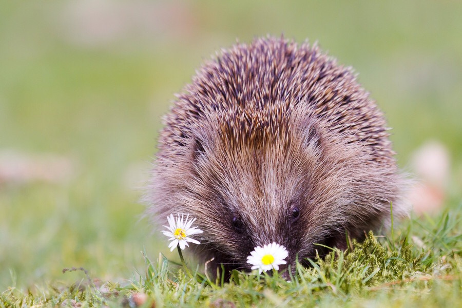 ���������