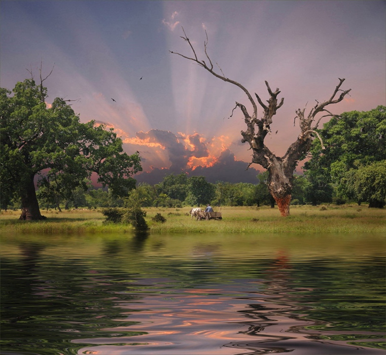 ���������