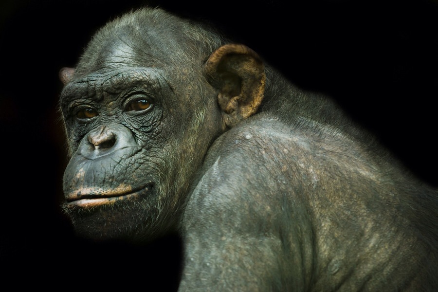 ���������