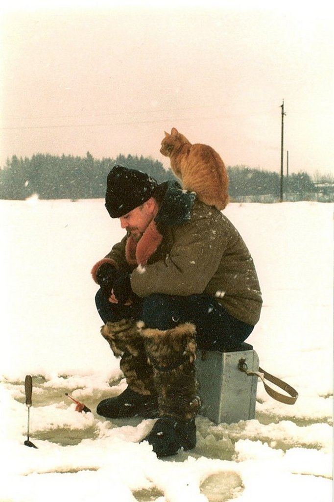 ���������