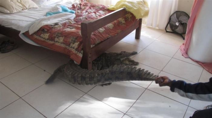 ���������