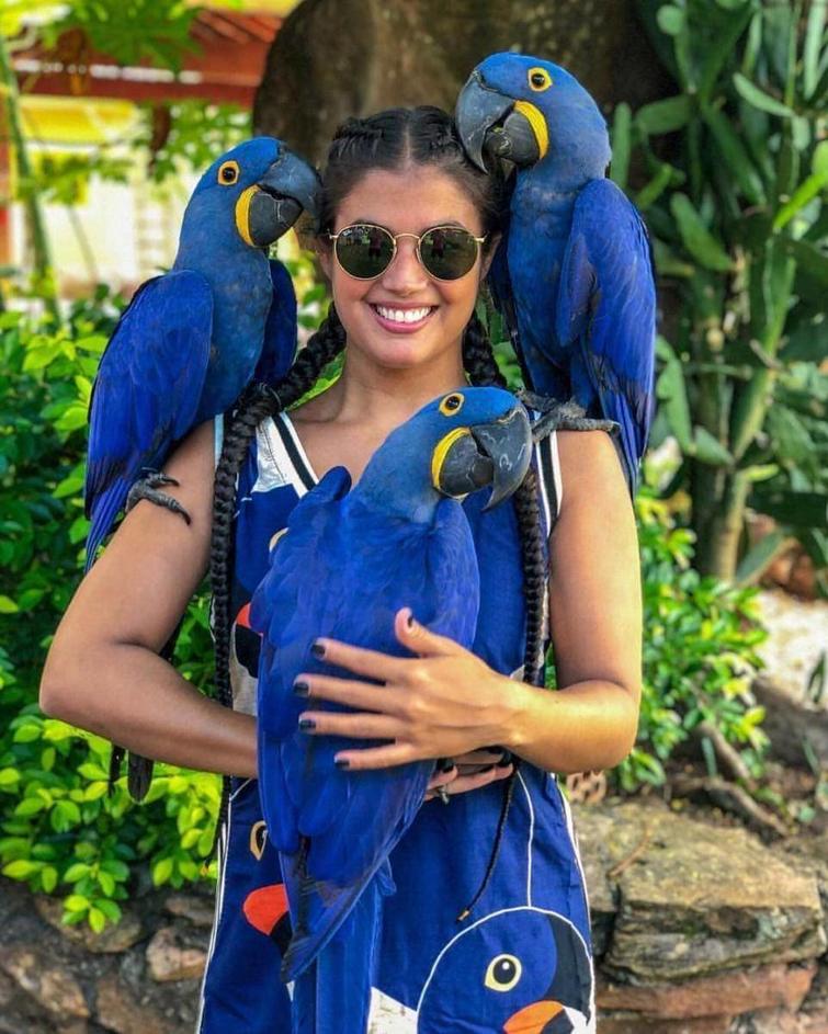 ���������