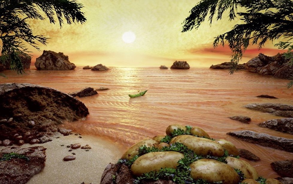 ���������