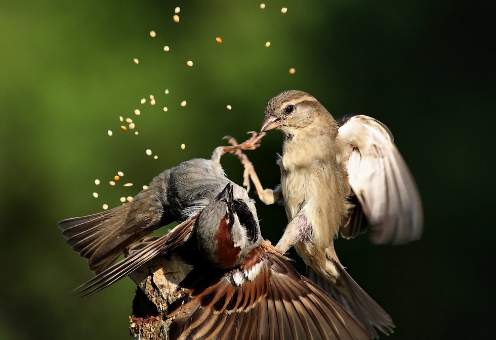 ���������