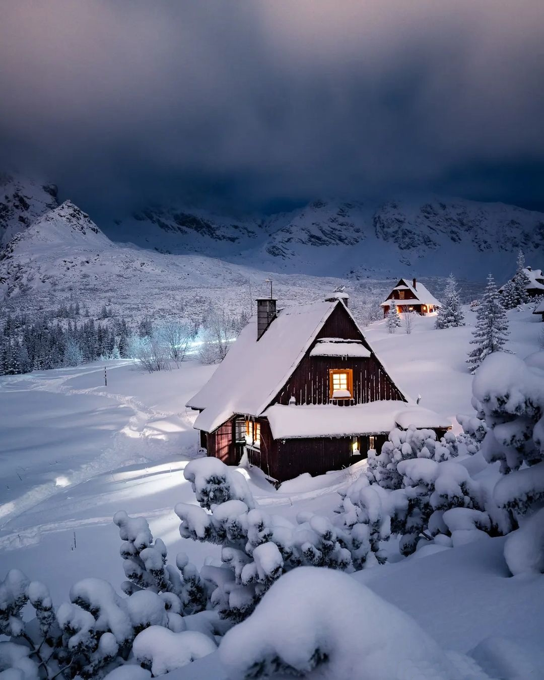 ���������