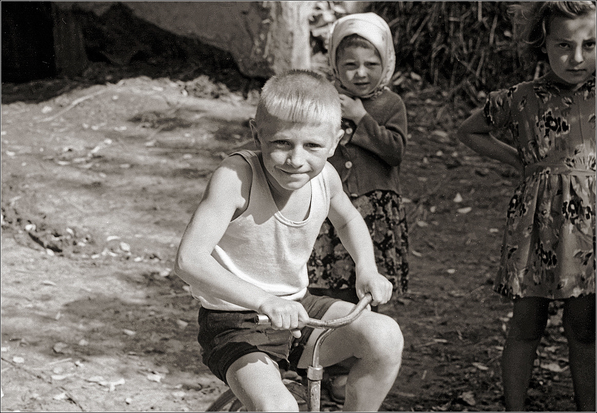 ���������