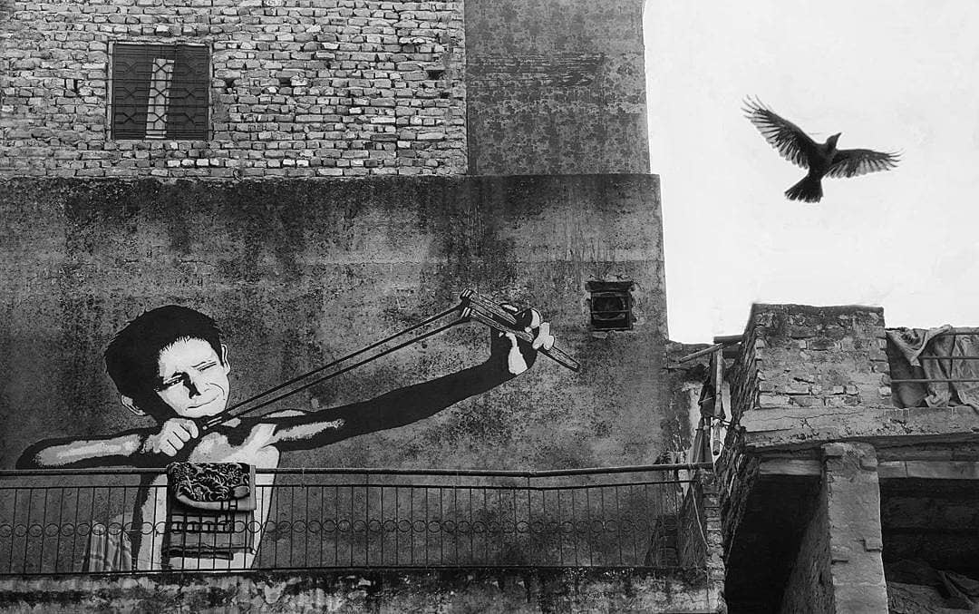 ���������