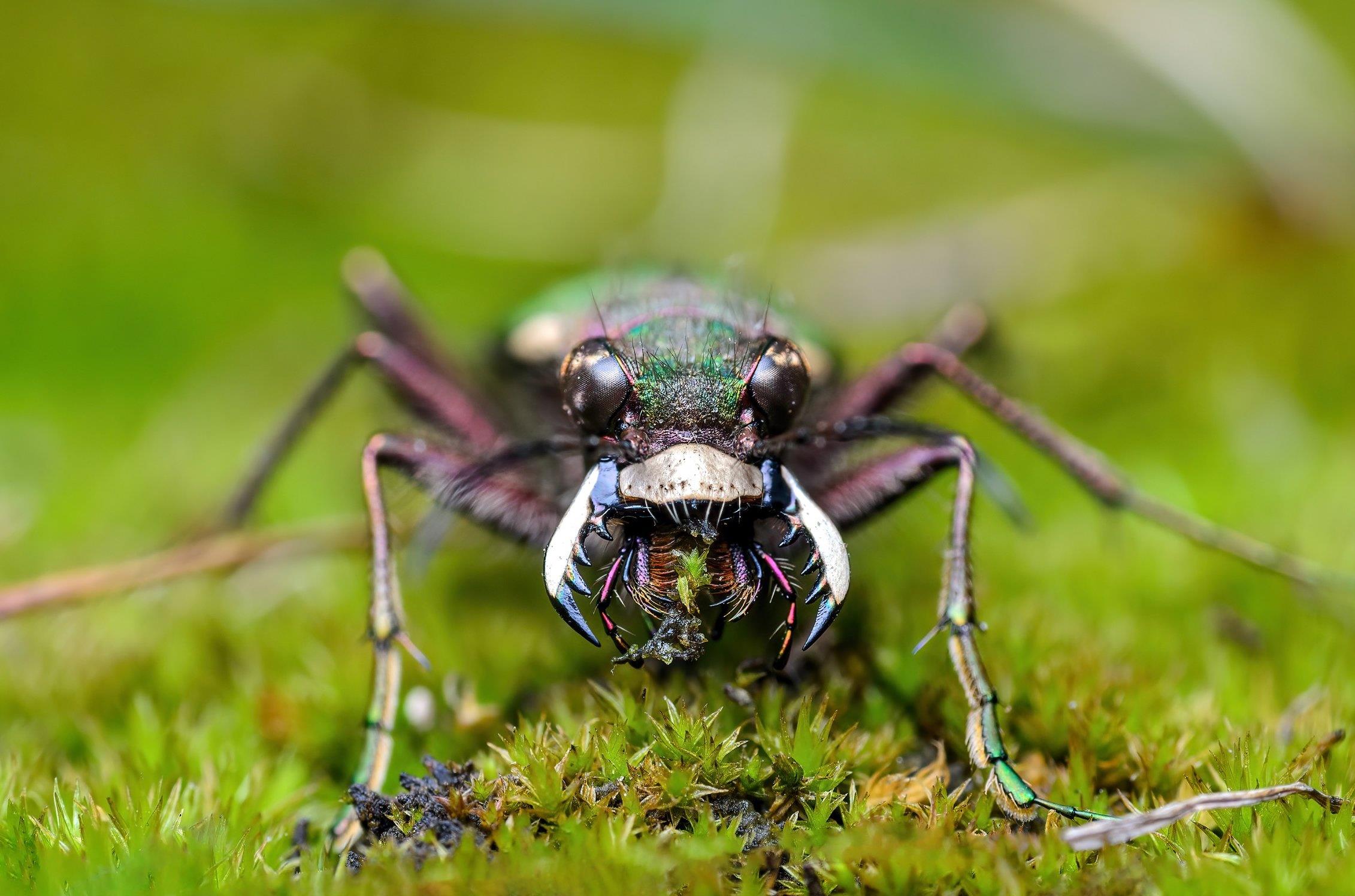 ���������