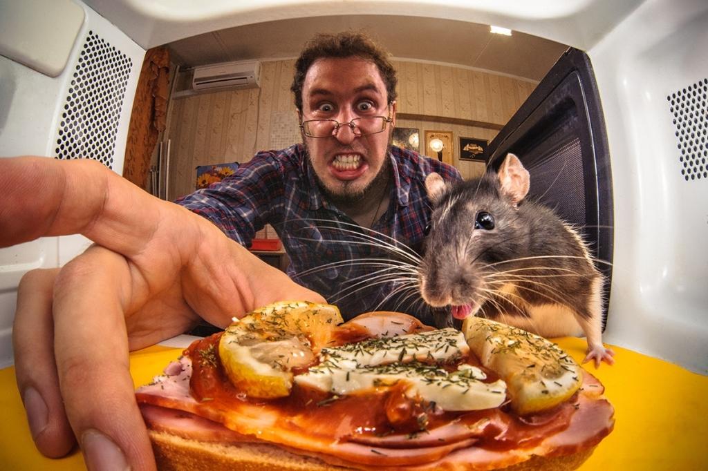 ���������