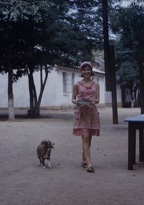 ���������