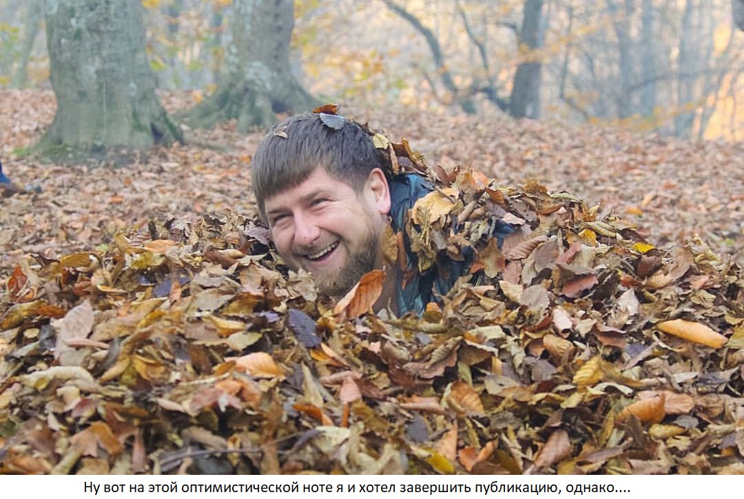 Увеличить Увеличить