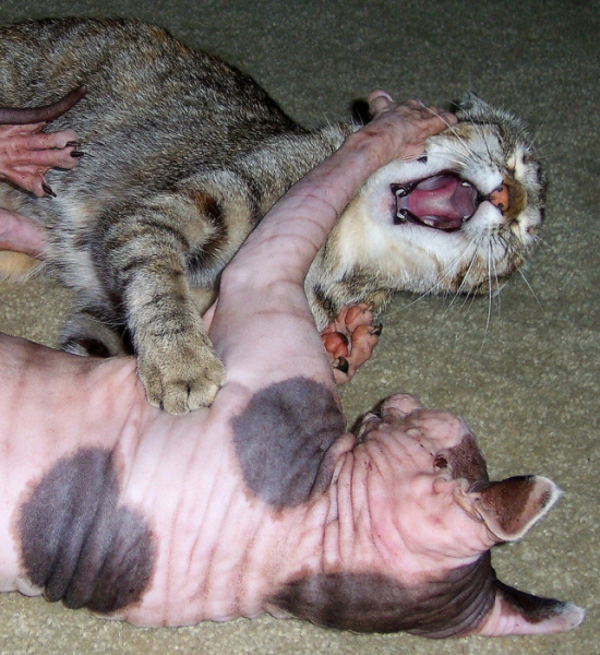 ���������