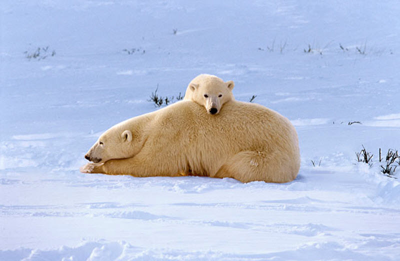 ���������