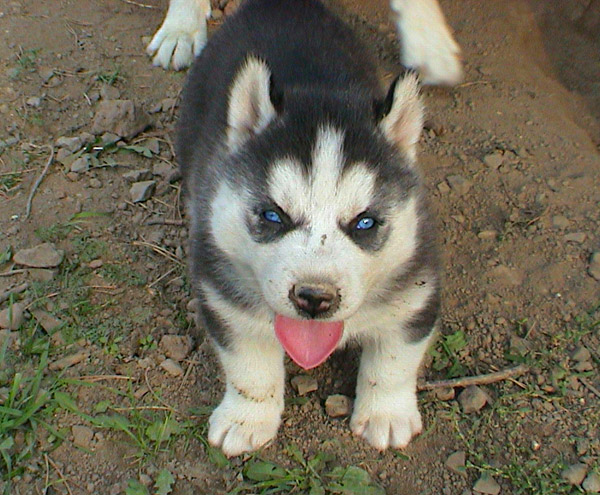 ���������