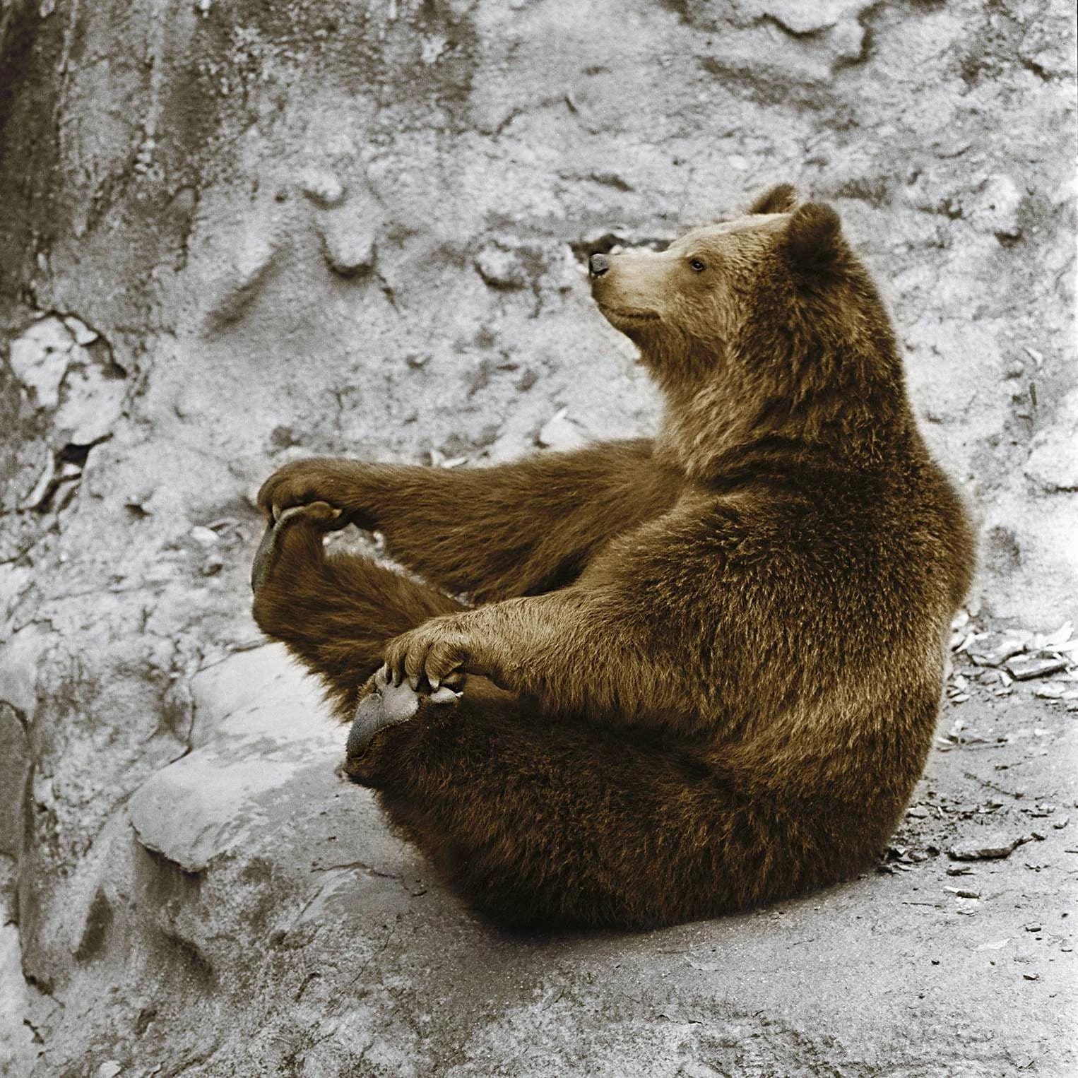 ���������