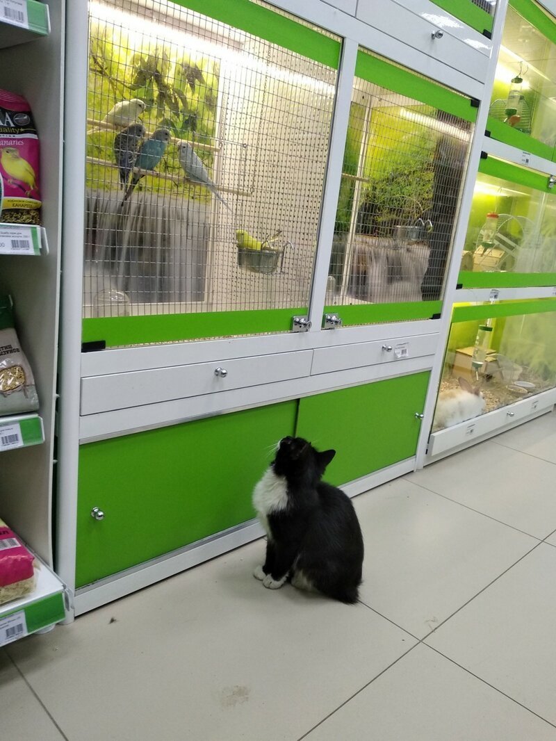 ���������