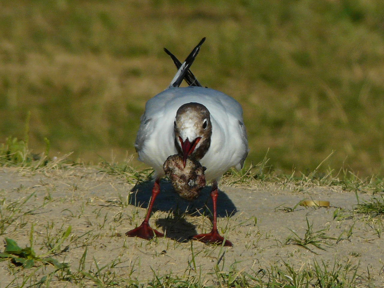 ���������