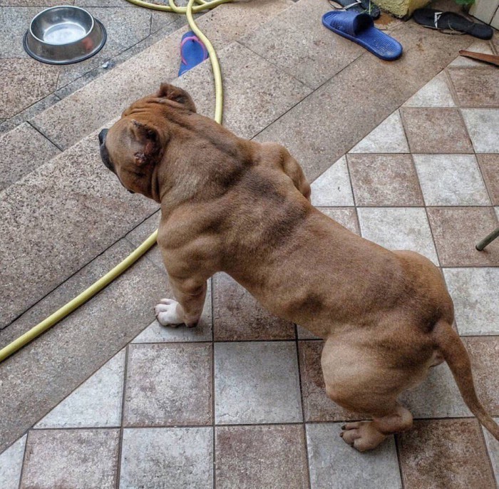 ���������