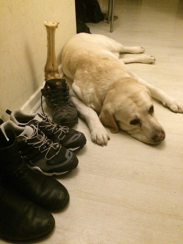 ���������