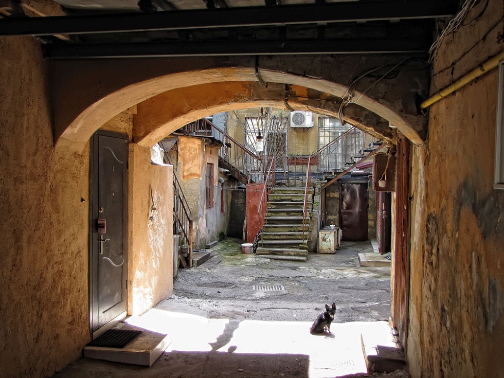 ���������