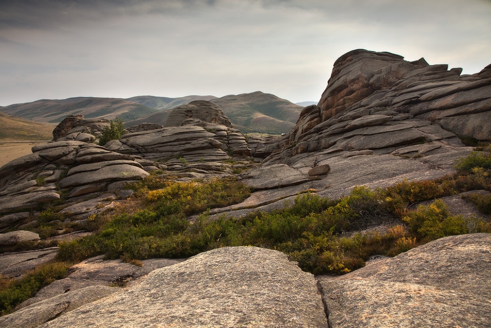 ���������