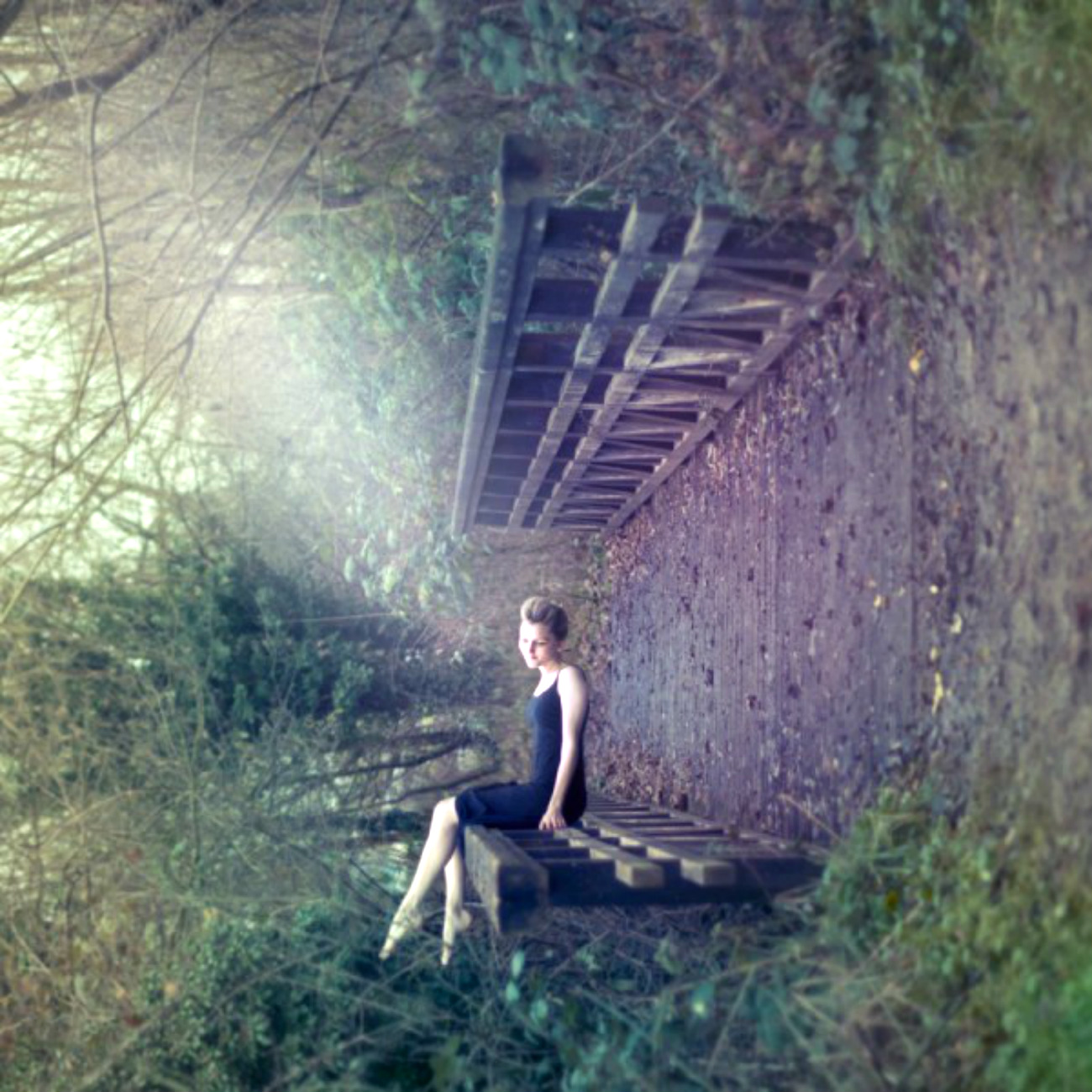 ���������