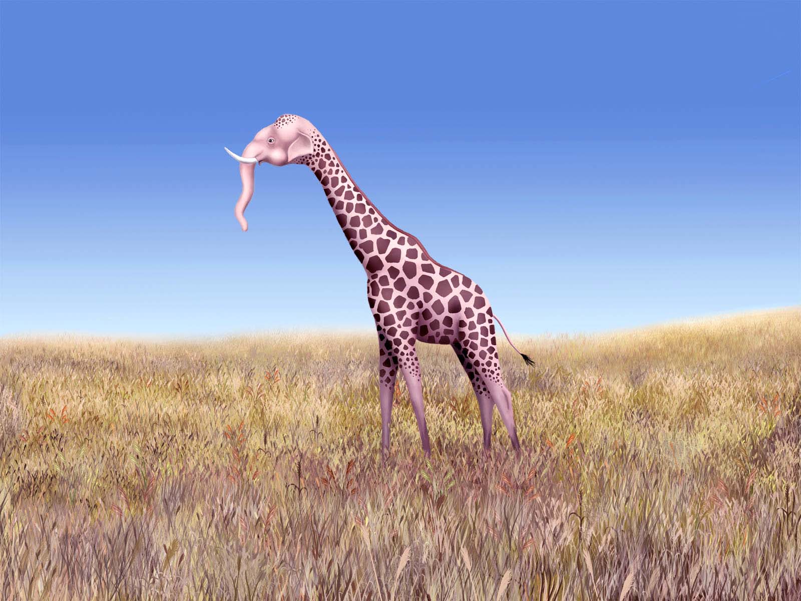 ���������