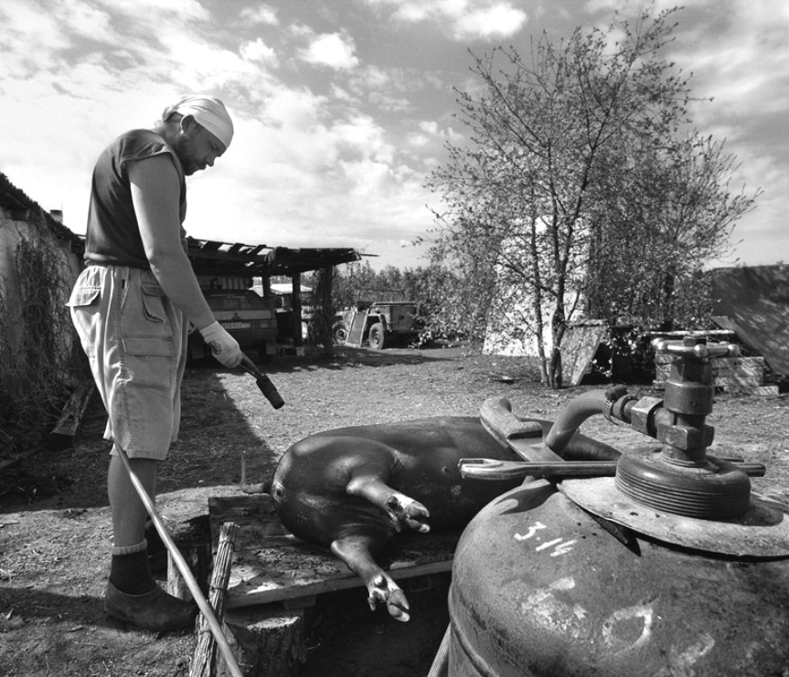 ���������