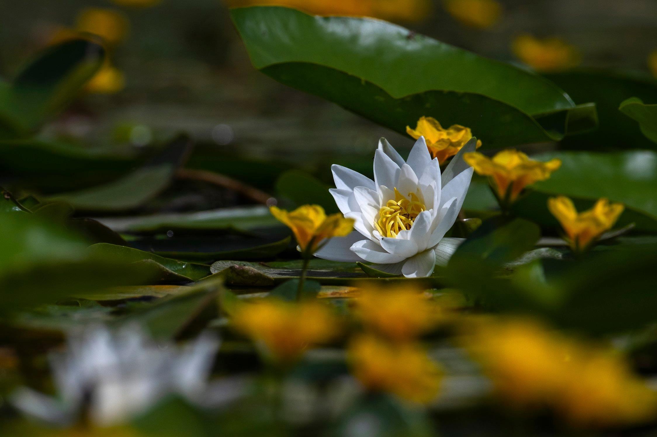 ���������