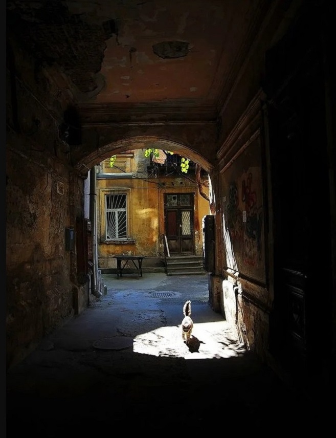 ���������