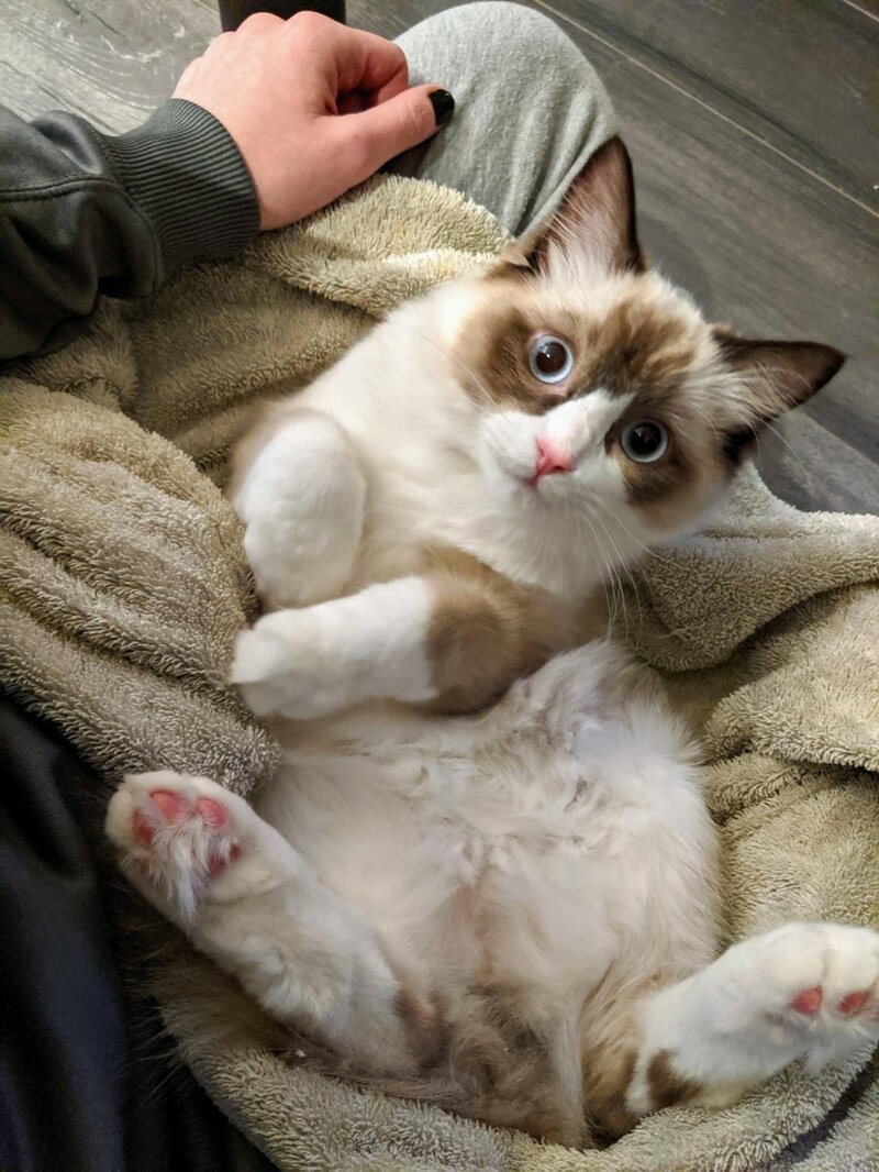 ���������