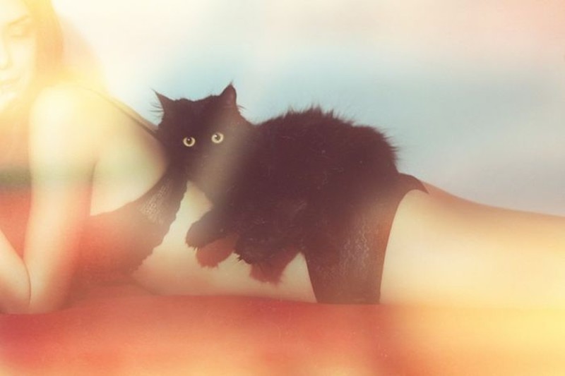 ���������