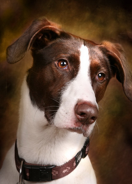 ���������