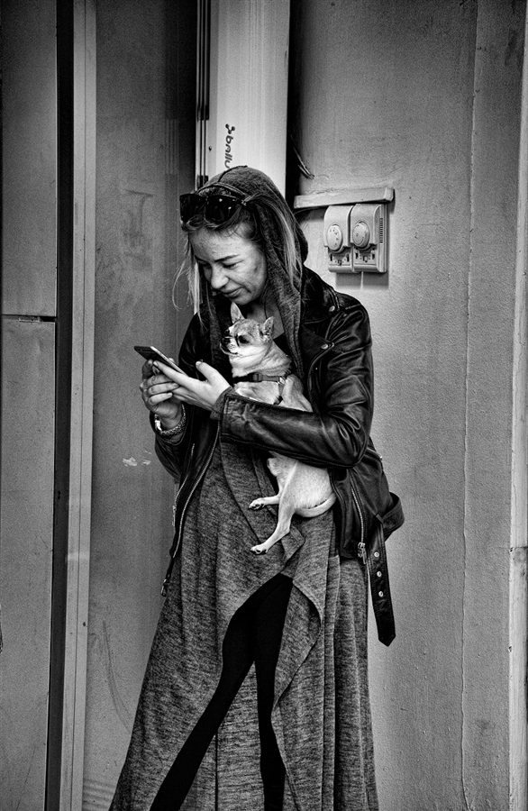 ���������