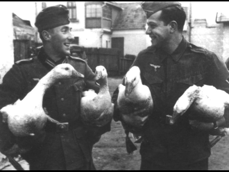 ���������