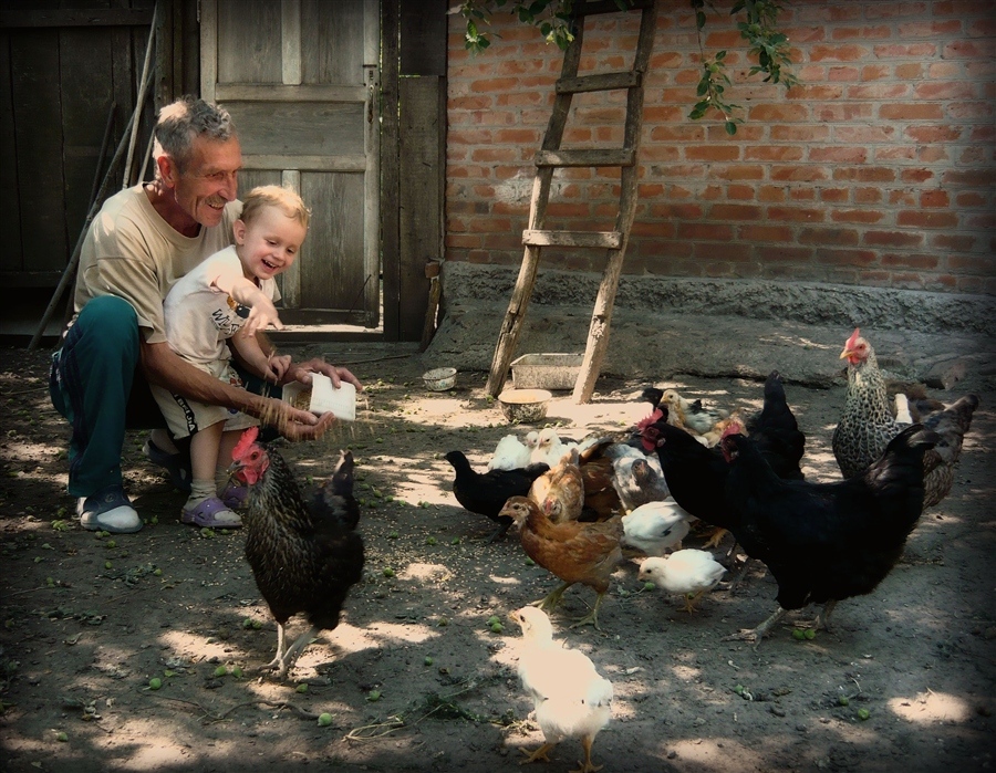 ���������