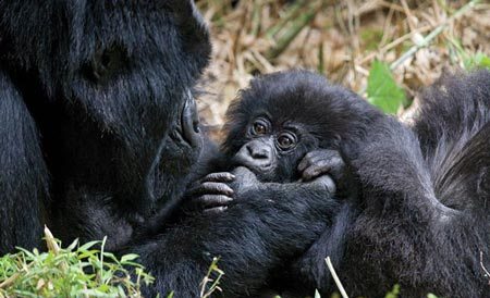 ���������