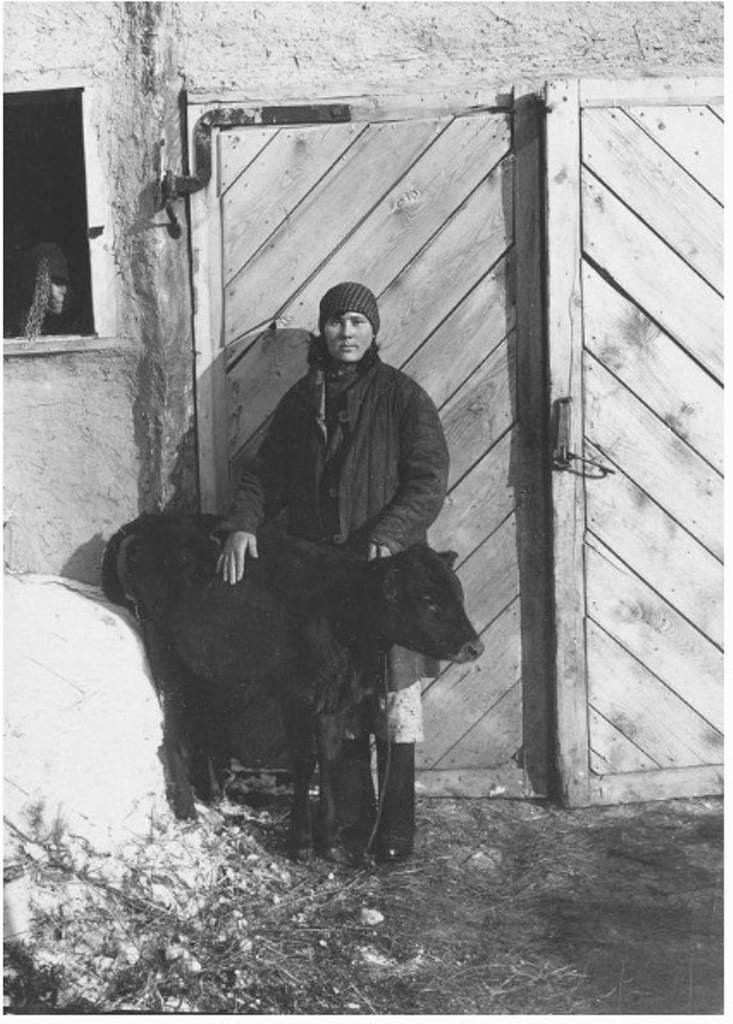 ���������