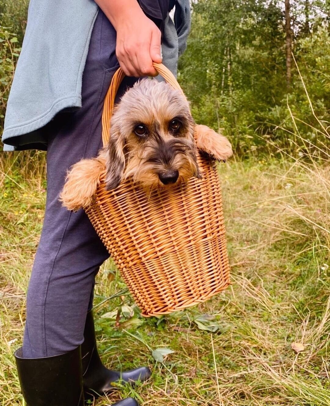 ���������