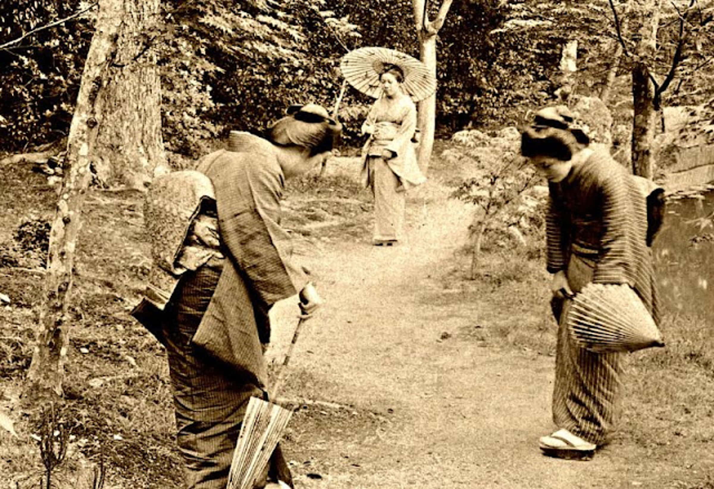 ���������